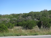 20100206 554.JPG
